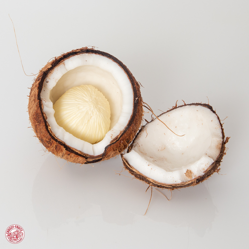 Découvrez la noix coco germée, un fruit tropical rare, unique et naturelle
