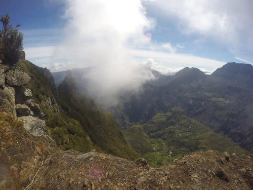 La Réunion dans nos cœurs — et bientôt dans vos assiettes