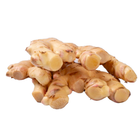 Tubercules et racine exotiques