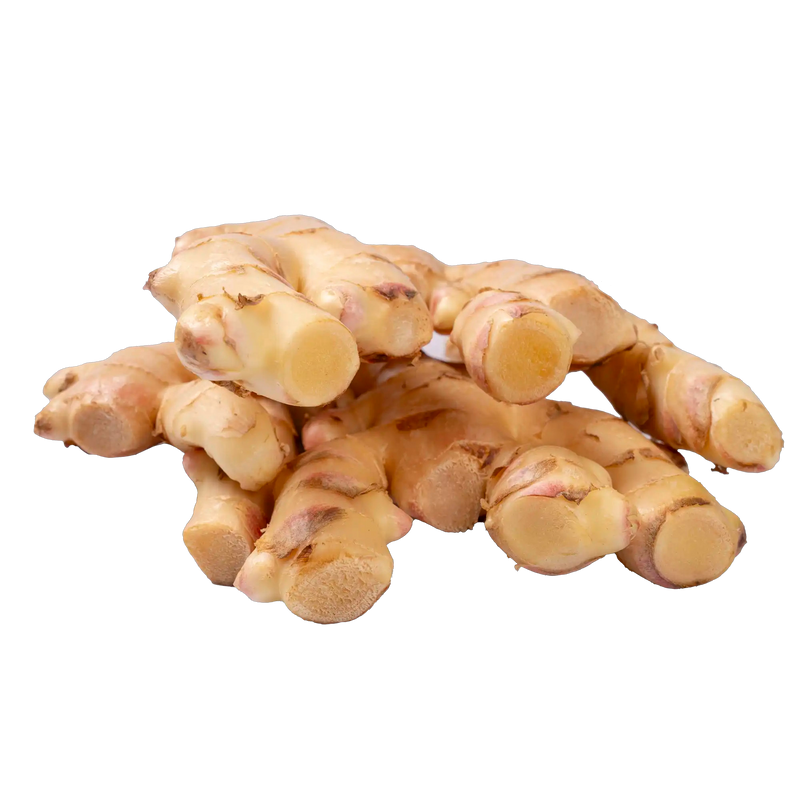 Tubercules et racine exotiques