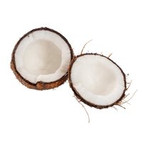 Les cocos