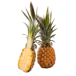 Ananas Victoria
