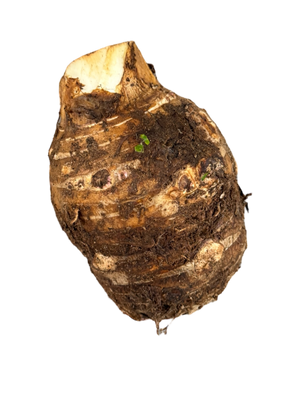 Dachine frais de Martinique 800g