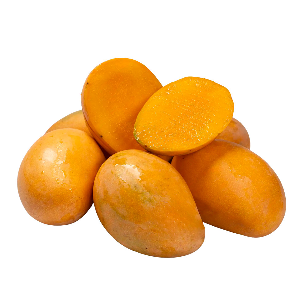 Mangue Mingolo