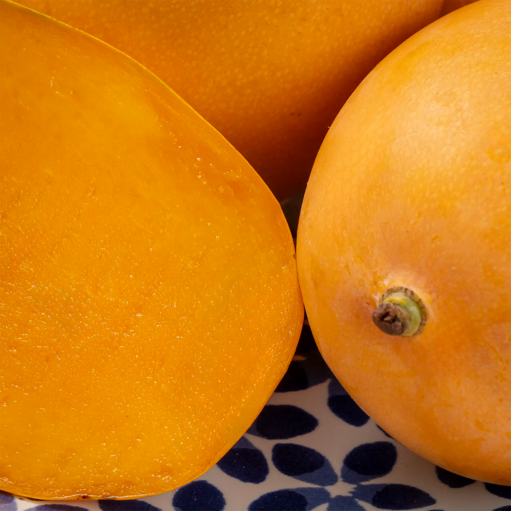 Mangue Mingolo