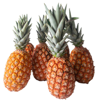 Les ananas