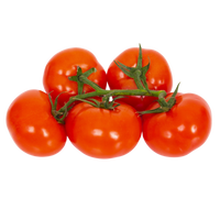 Tomates