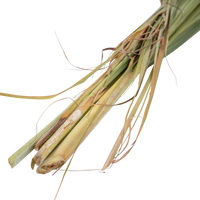 Feuilles Et Herbes