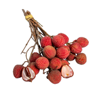 Litchis Bengal en grappe avec leurs feuilles, fruits exotiques fraîchement cueillis