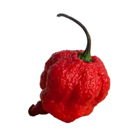 Les piments