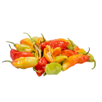 Les piments des Antilles