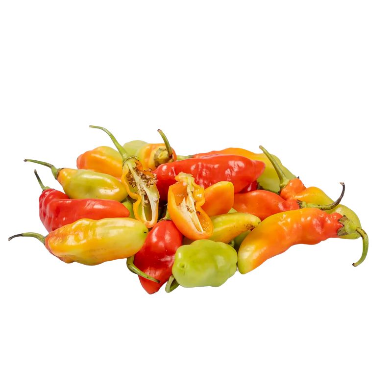 Les piments des Antilles