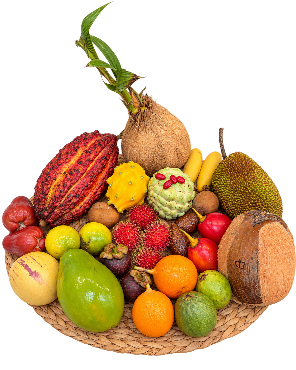 Box Découverte Fruits Exotiques XL – 18 variétés de fruits rares, 30 pièces et un sachet de baies du miracle