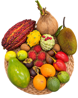 Box Découverte Fruits Exotiques L – 14 variétés de fruits rares, 24 pièces et un sachet de baies du miracle