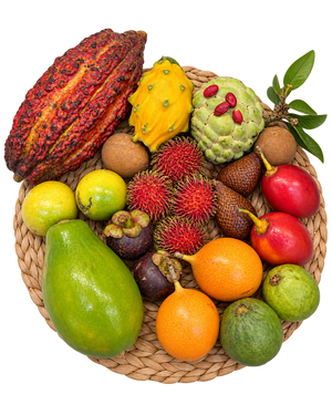 Box Découverte Fruits Exotiques M – 12 variétés de fruits rares, 22 pièces et un sachet de baies du miracle