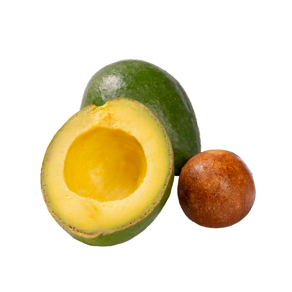 Avocat Tropical