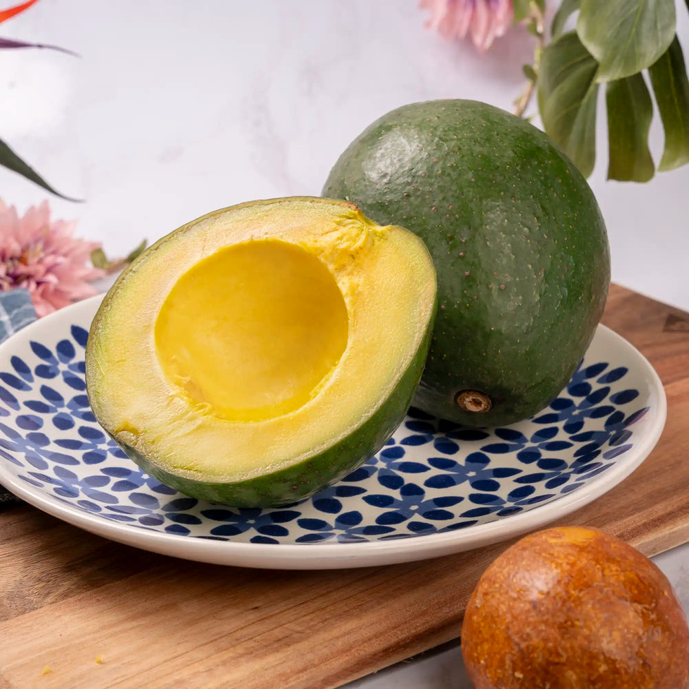 Avocat Tropical