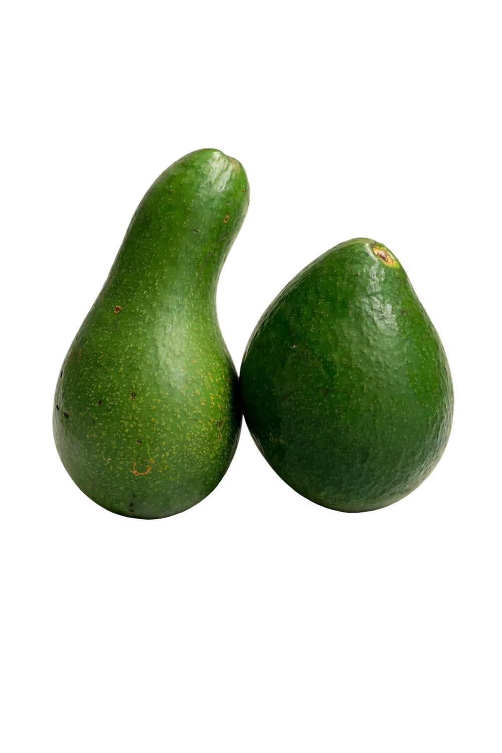 Avocat de la Réunion