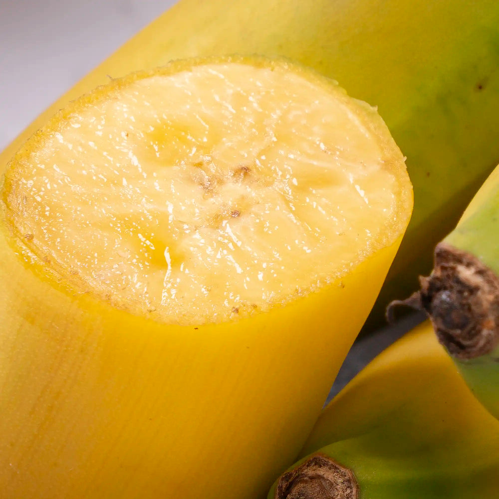 Banane Cavendish