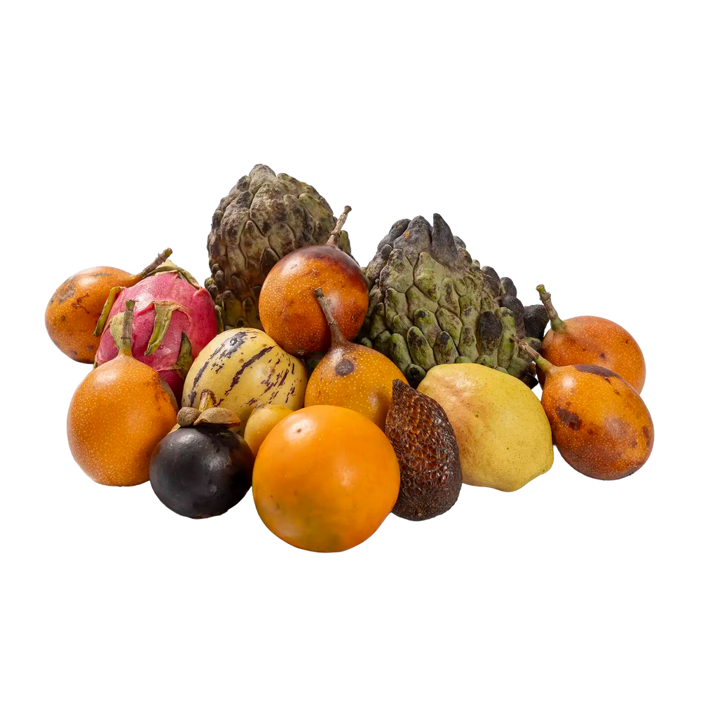 Box dégageoce ( à recuperer en Drive uniquement)