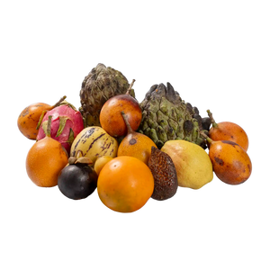 Box dégageoce ( à recuperer en Drive uniquement)