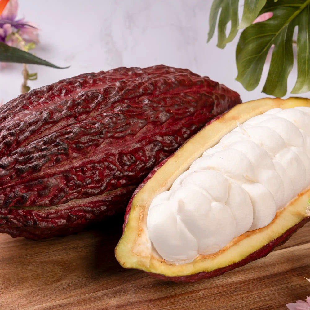 Cabosse de cacao