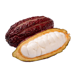Cabosse de cacao
