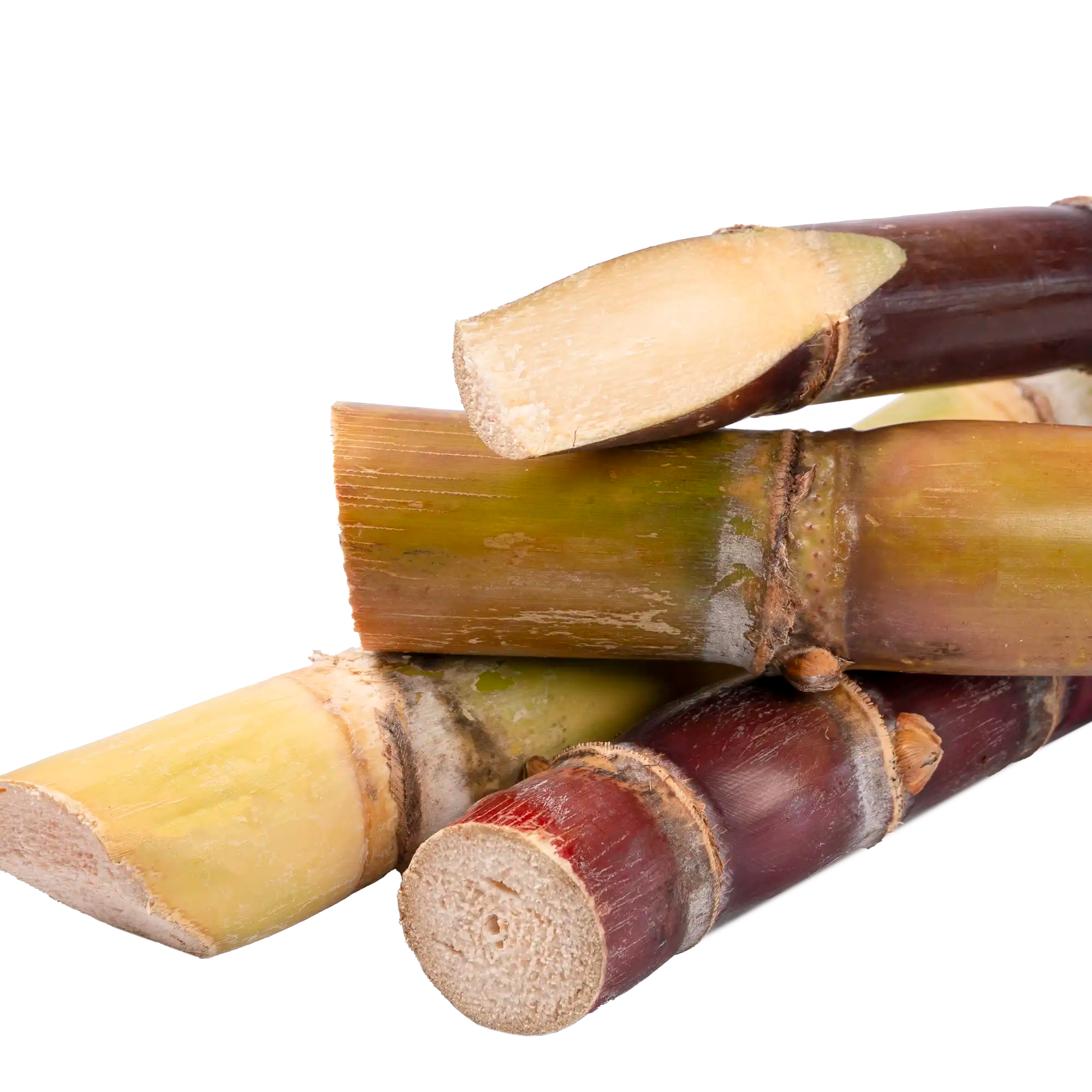 Canne à sucre de Guadeloupe en tronçons frais