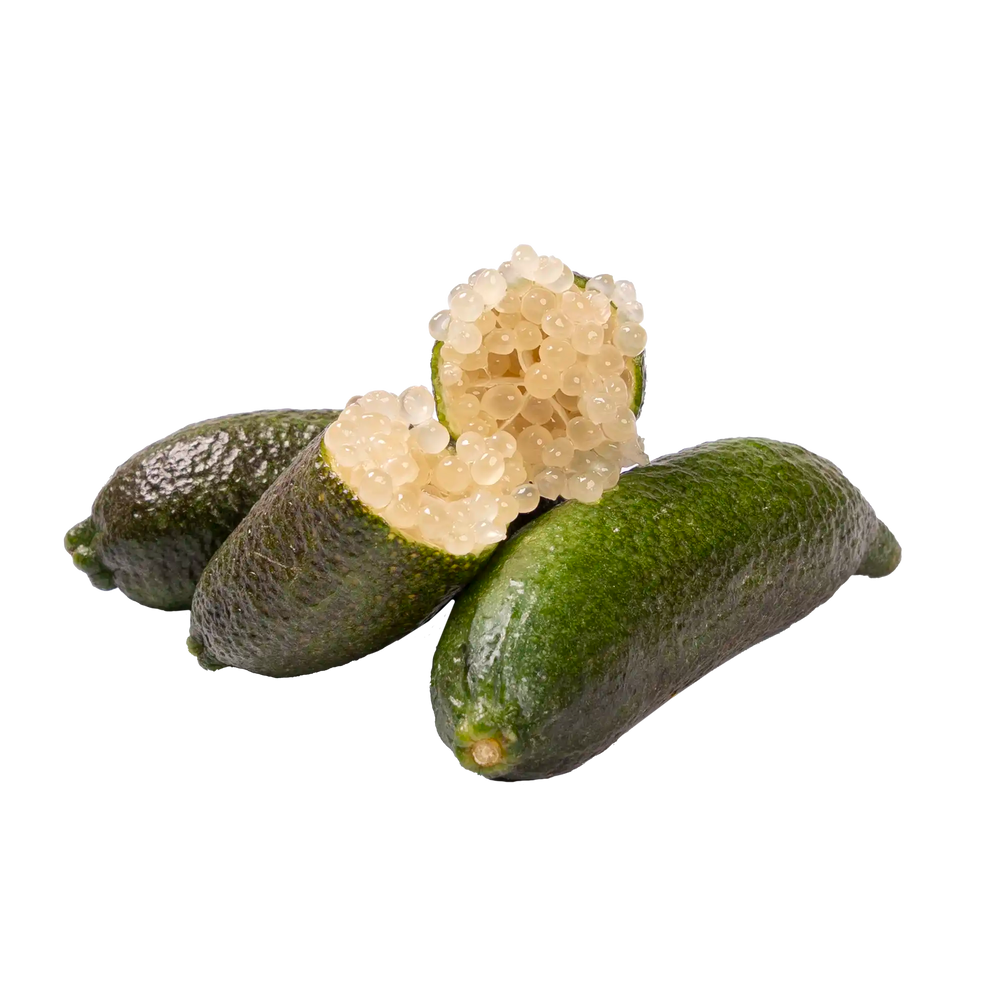 Citron caviar  (boîte de 100g)
