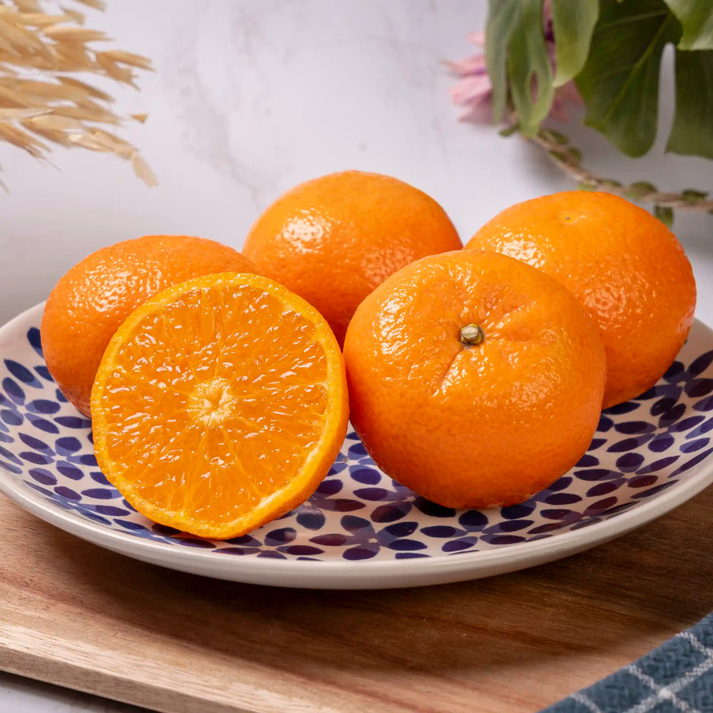 Mandarine ORRI Soculente