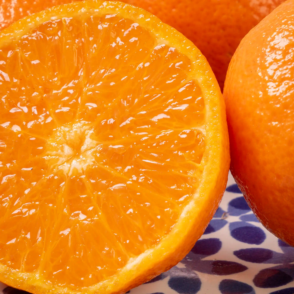 Mandarine ORRI Soculente
