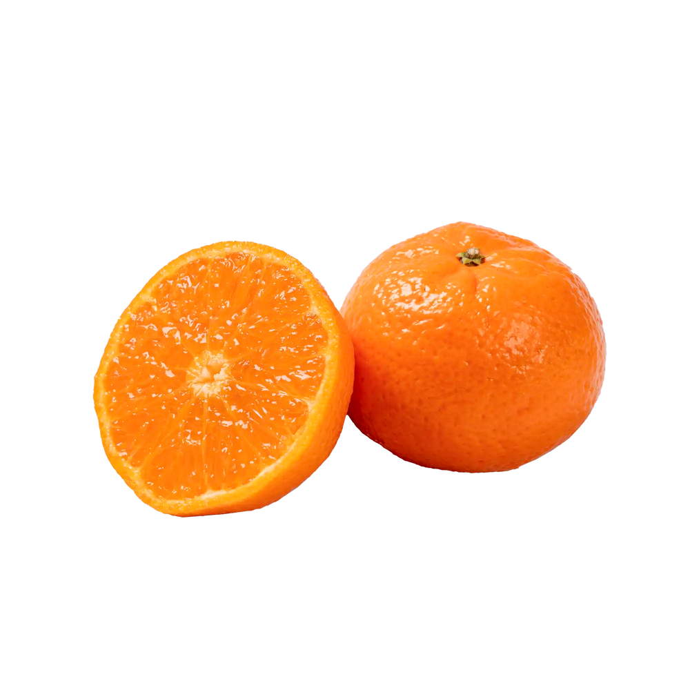 Mandarine ORRI Soculente