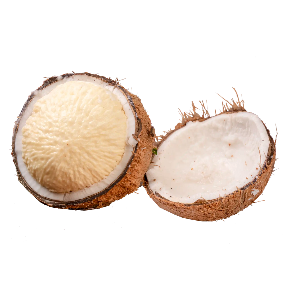 Noix de coco germée