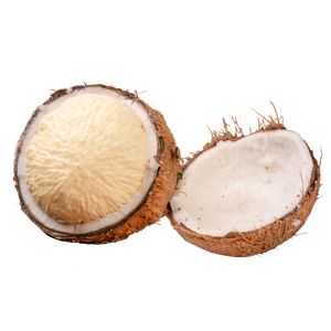 Noix de coco germée