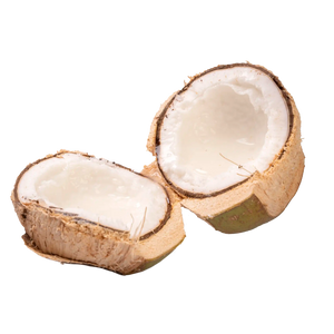 Coco Macapuno
