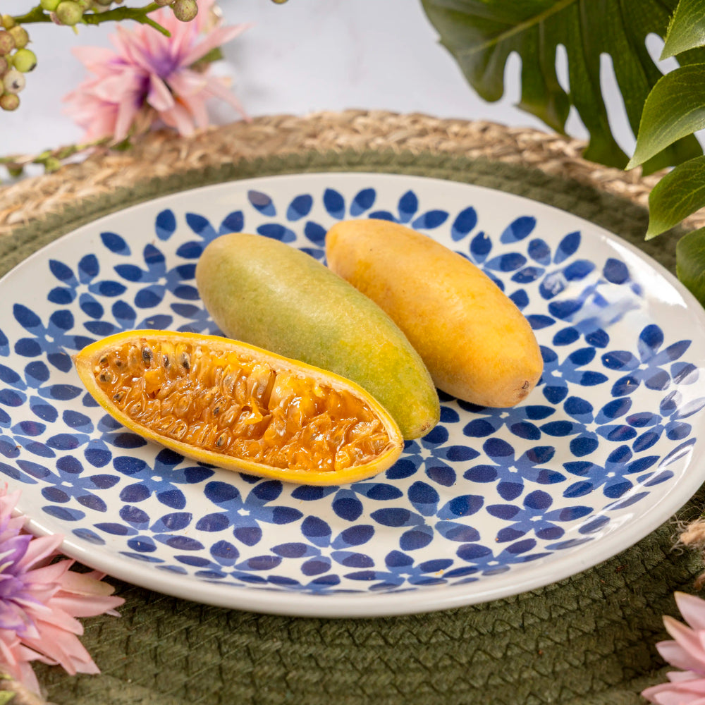 Curuba de Colombie (banane de la passion)