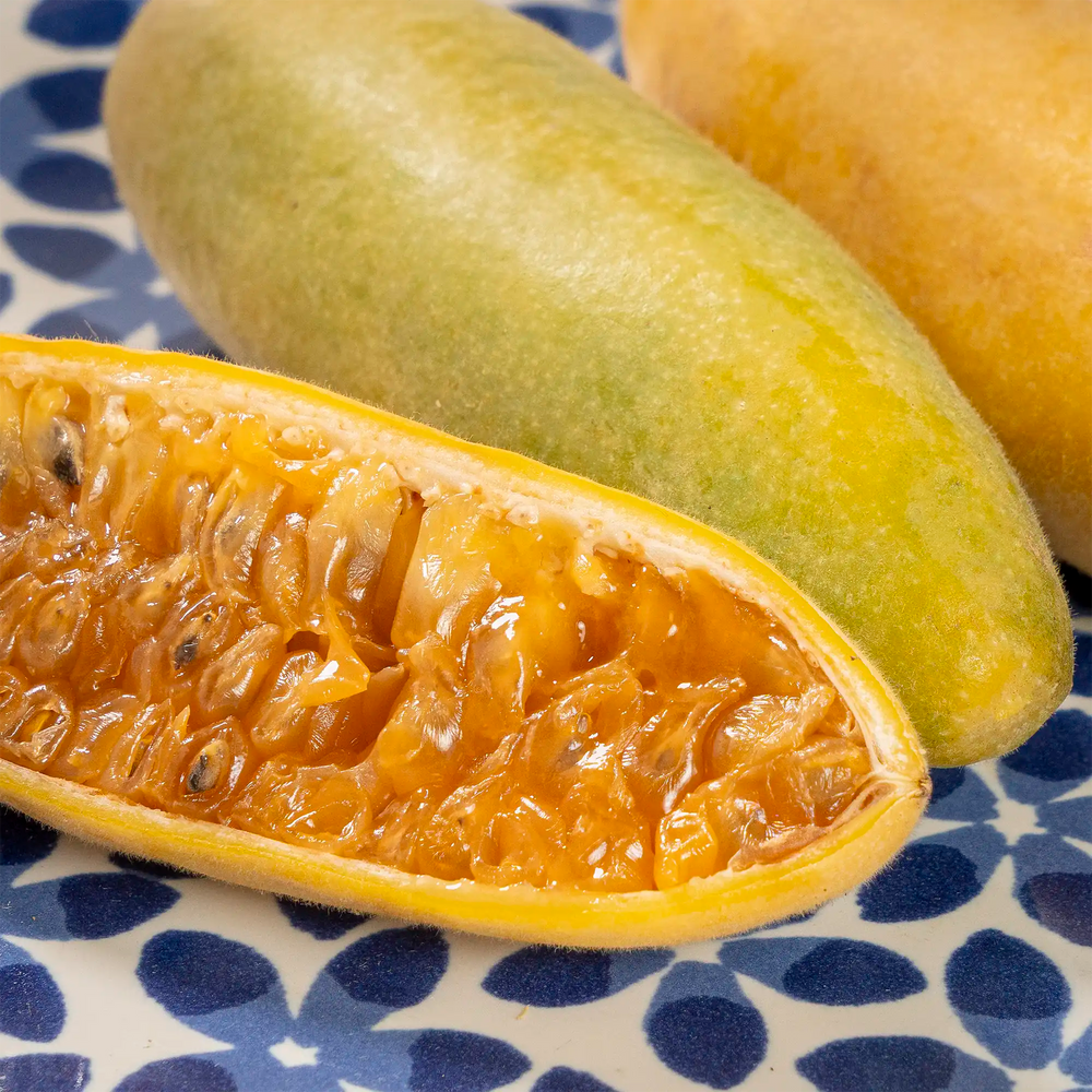 Curuba de Colombie (banane de la passion)