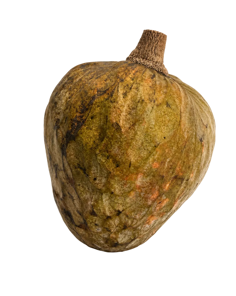 Cœur de bœuf de La Réunion, fruit exotique à la peau verte écailleuse et chair crémeuse