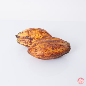 Cabosse de cacao de Martinique