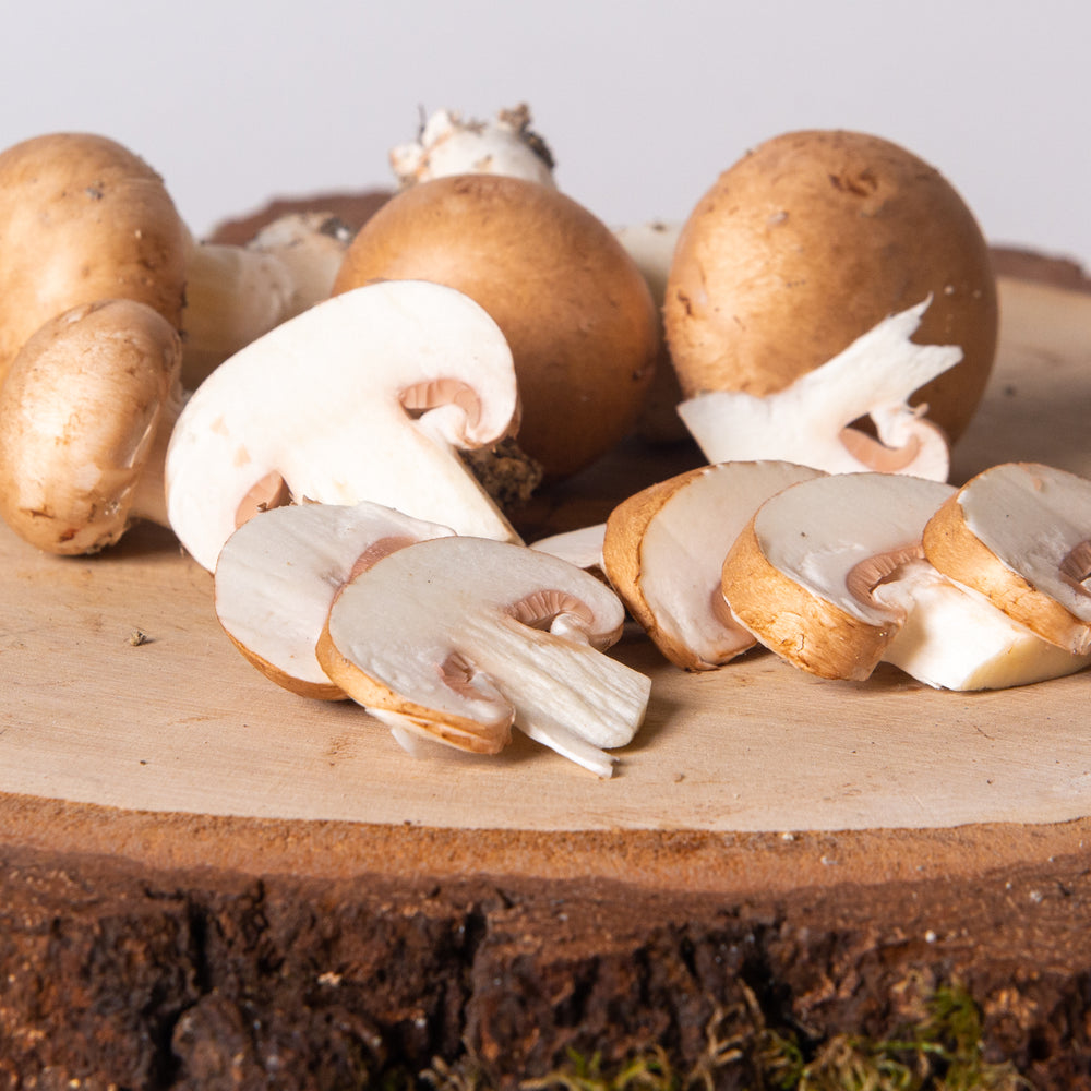 Champignon de Paris Bruns