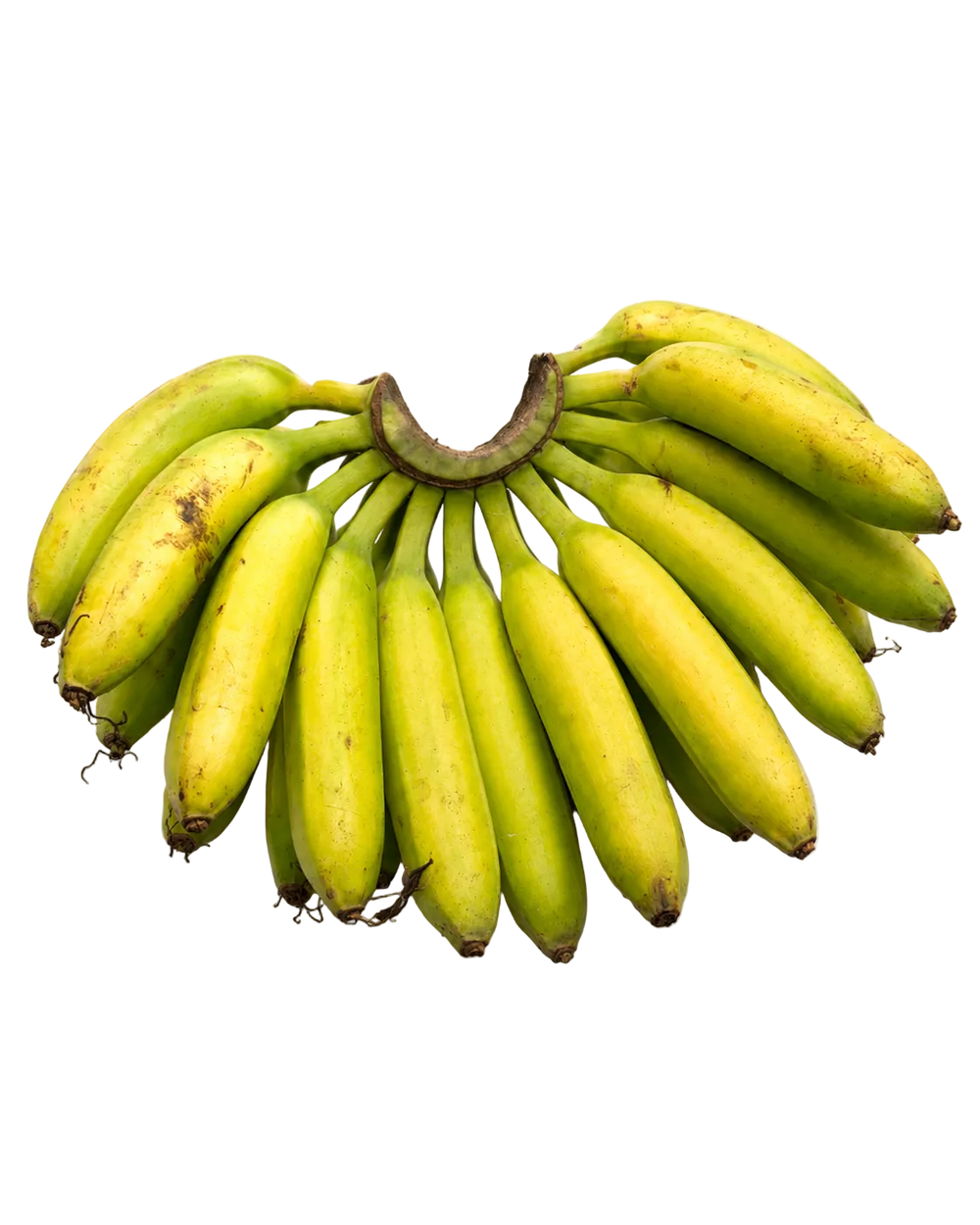 Banane Ti-sucre de Guadeloupe, petites bananes de jardin créole à la chair sucrée, expédiées vertes
