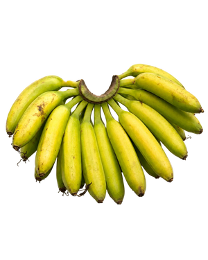 Banane Ti-sucre de Guadeloupe, petites bananes de jardin créole à la chair sucrée, expédiées vertes