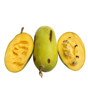 Pawpaw du Tarn (asiminier), fruit rare français à la chair crémeuse aux notes de banane, mangue et vanille