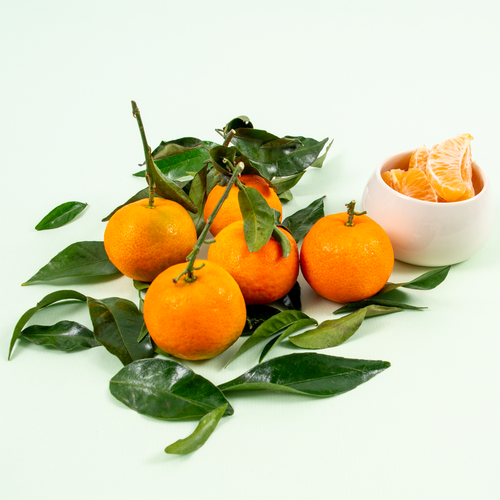 Clementines feuilles Espagne