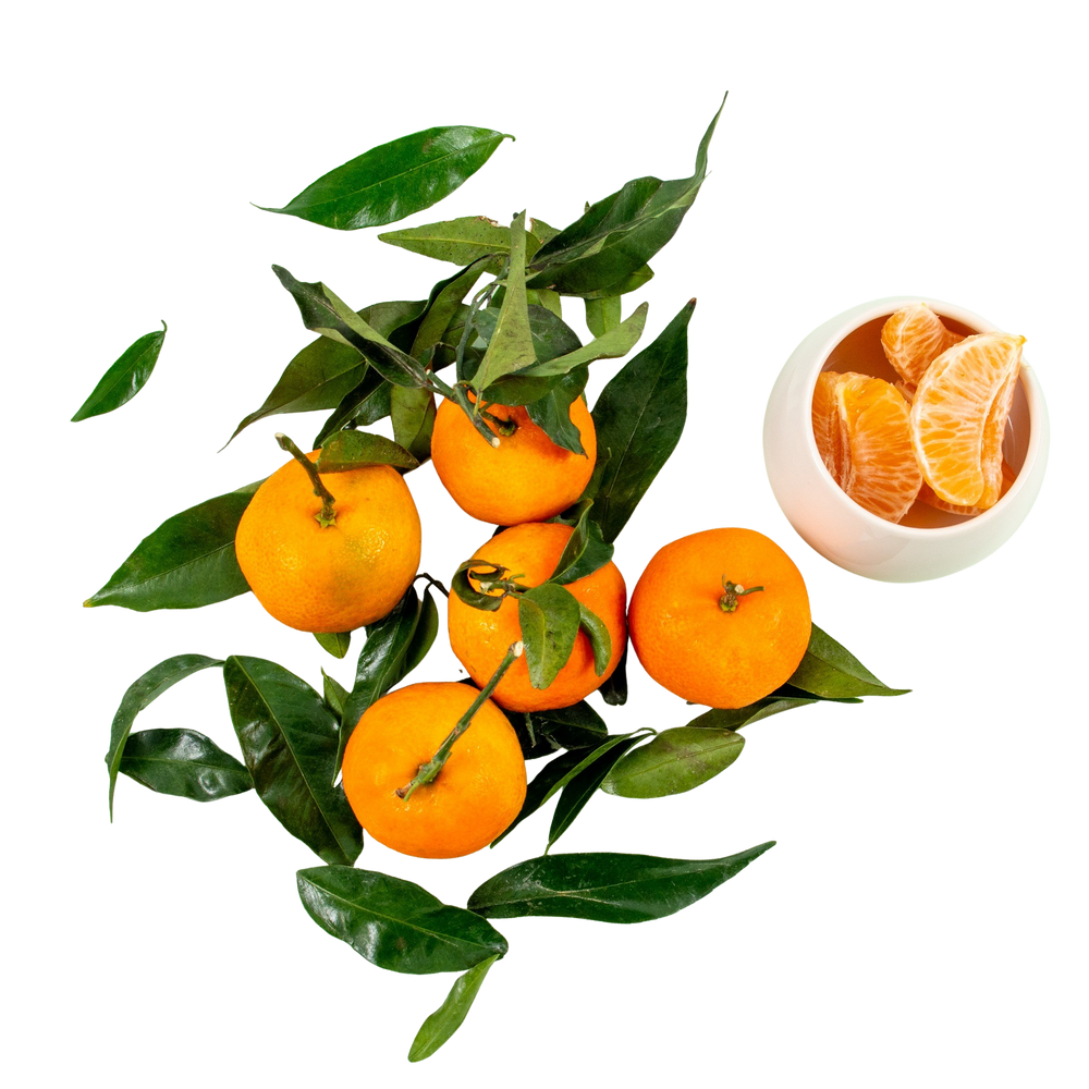 Clementines feuilles Espagne