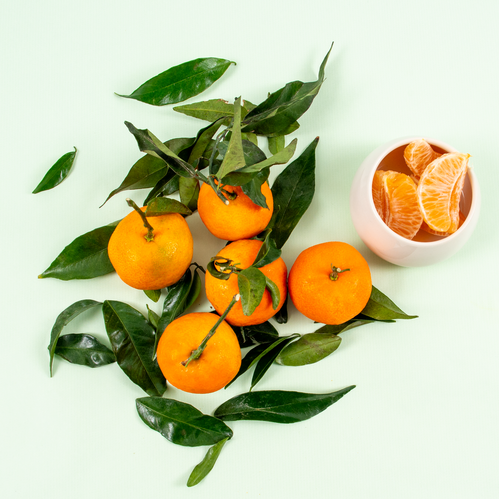 Clementines feuilles Espagne