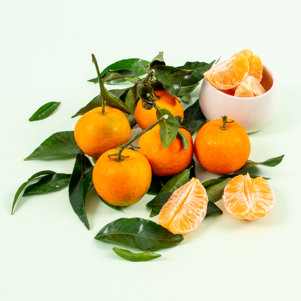 Clementines feuilles Espagne