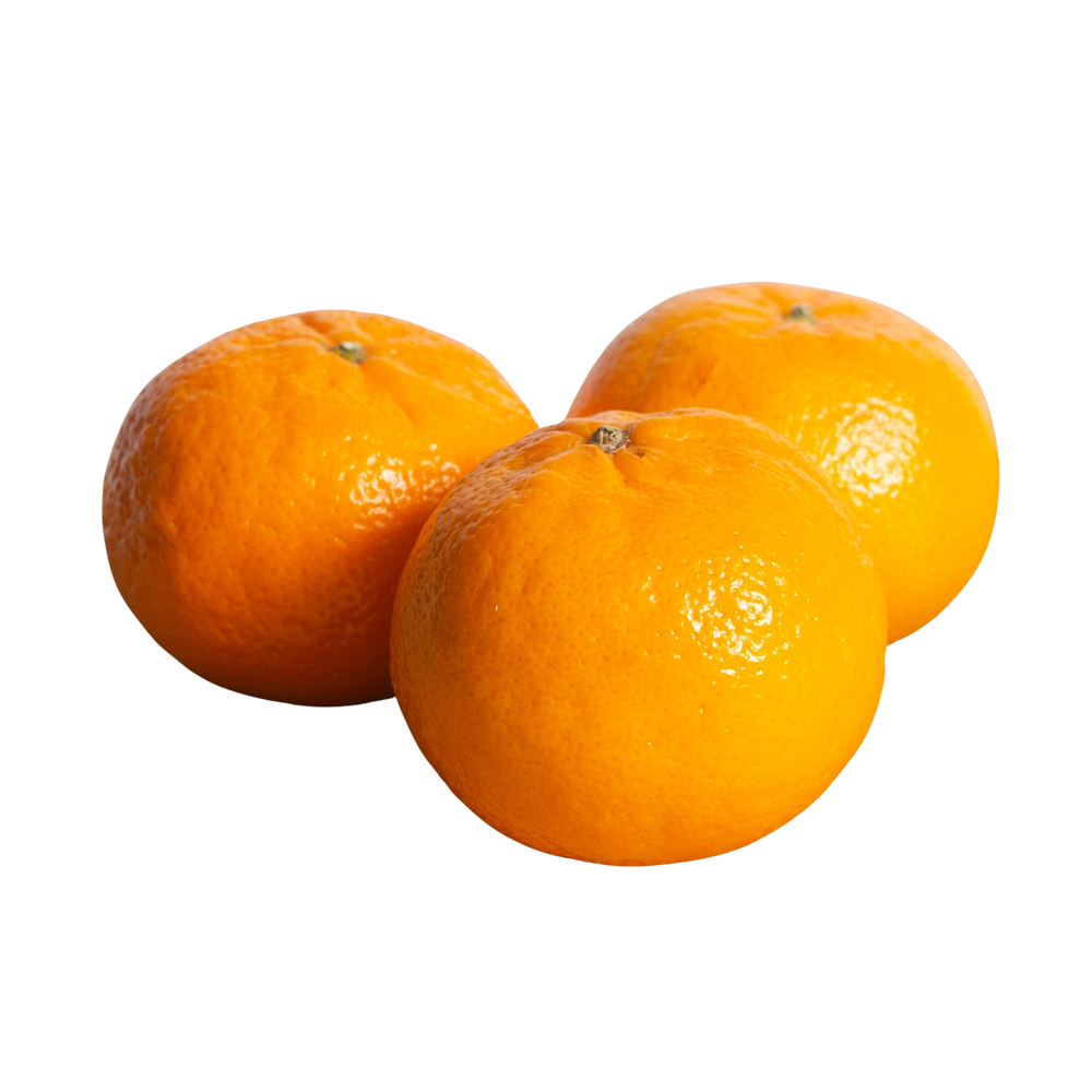Mandarine ORRI