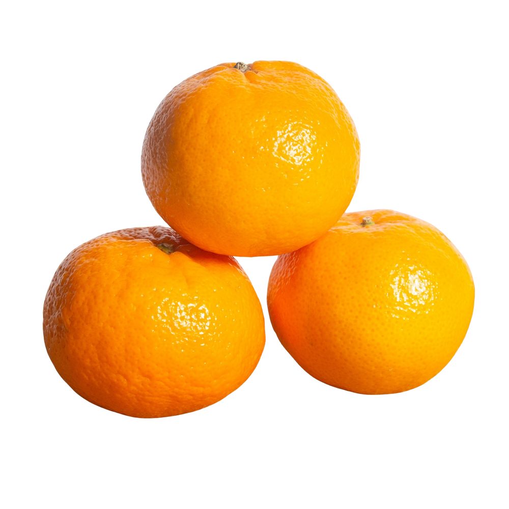 Mandarine ORRI