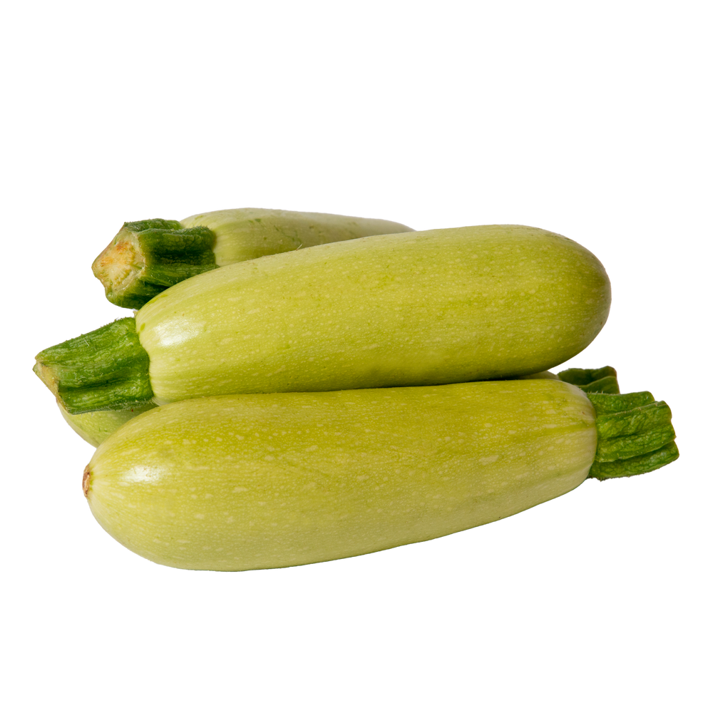 Courgette blanche